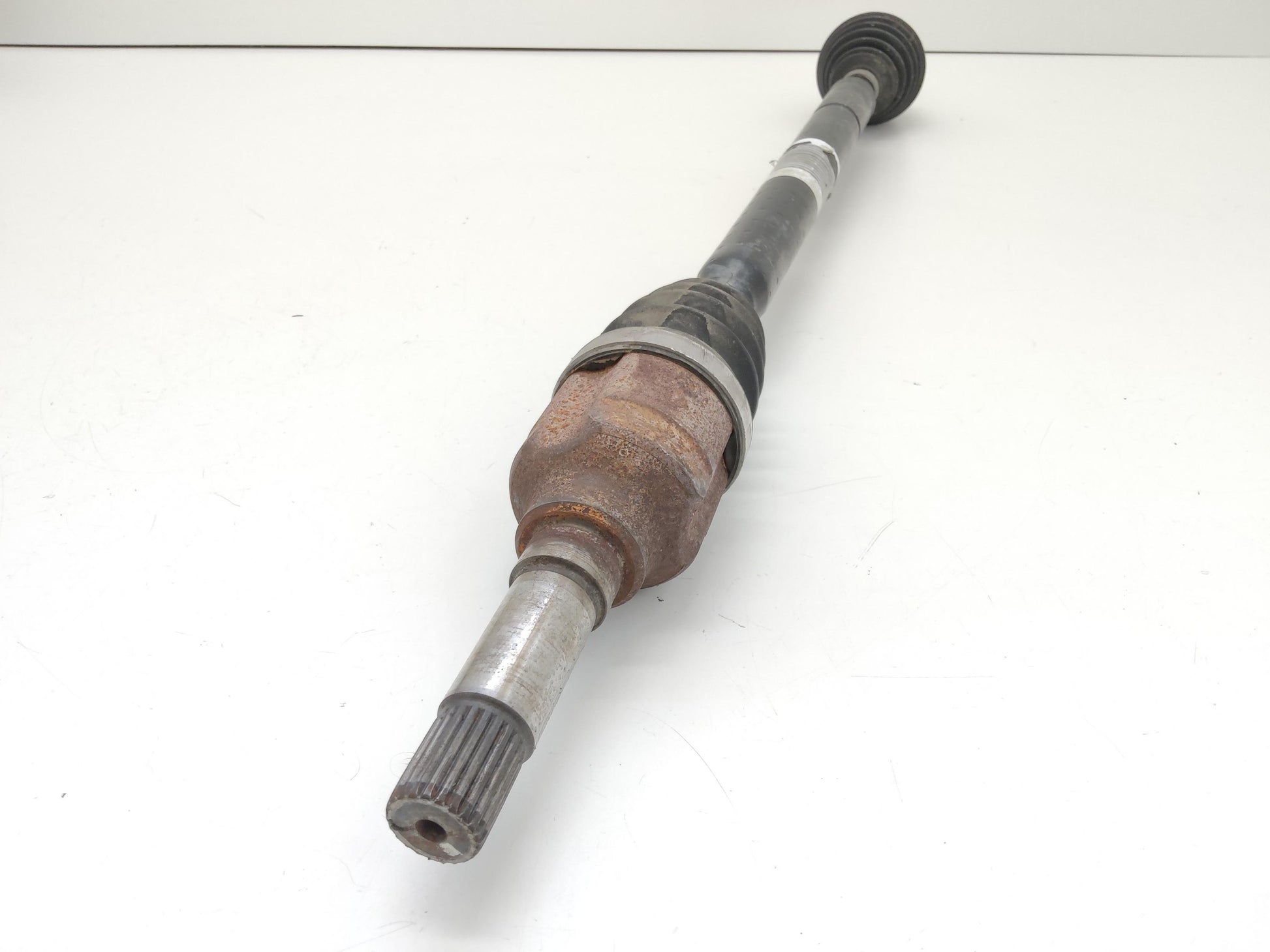 Immagine 5