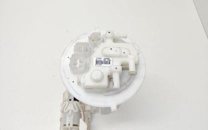 Immagine 4