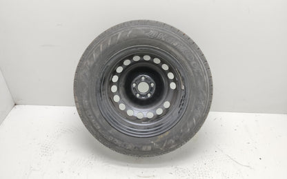 Immagine 7