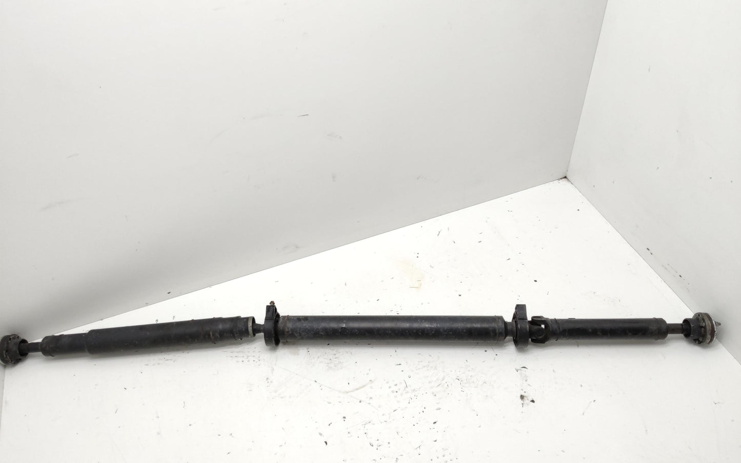 Immagine 5