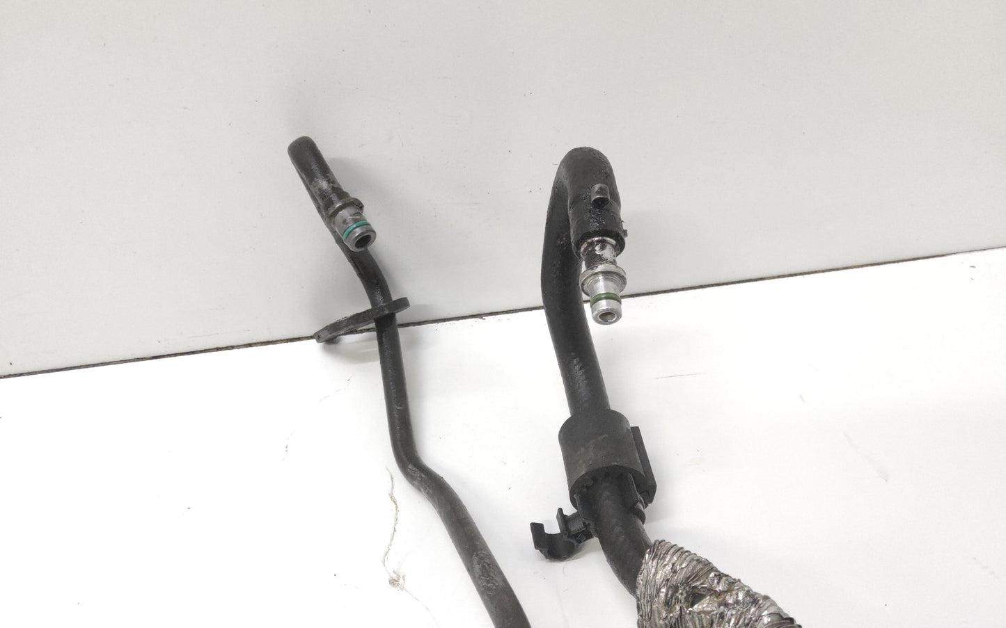 Immagine 5