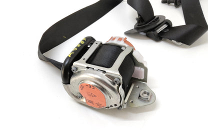 Immagine 3