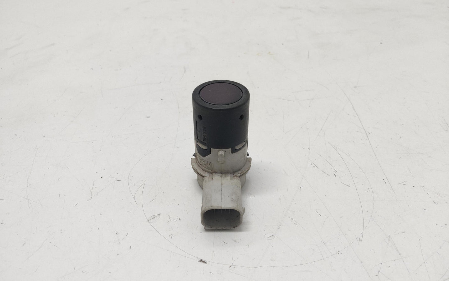 Immagine 1