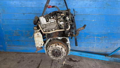 Immagine 2