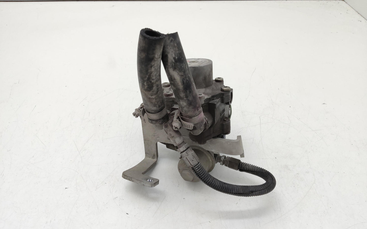 Immagine 3